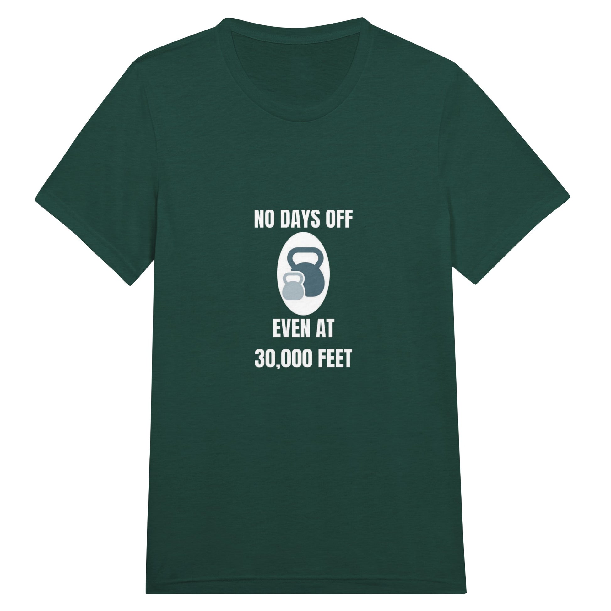 No Days Off Even at 30,000 Feet unisex triblend tee in Emerald Triblend — packable travel training apparel from Dumbbells & Hotels